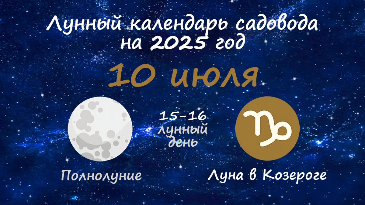 Лунный календарь садовода-огородника на 10 июля 2025 года