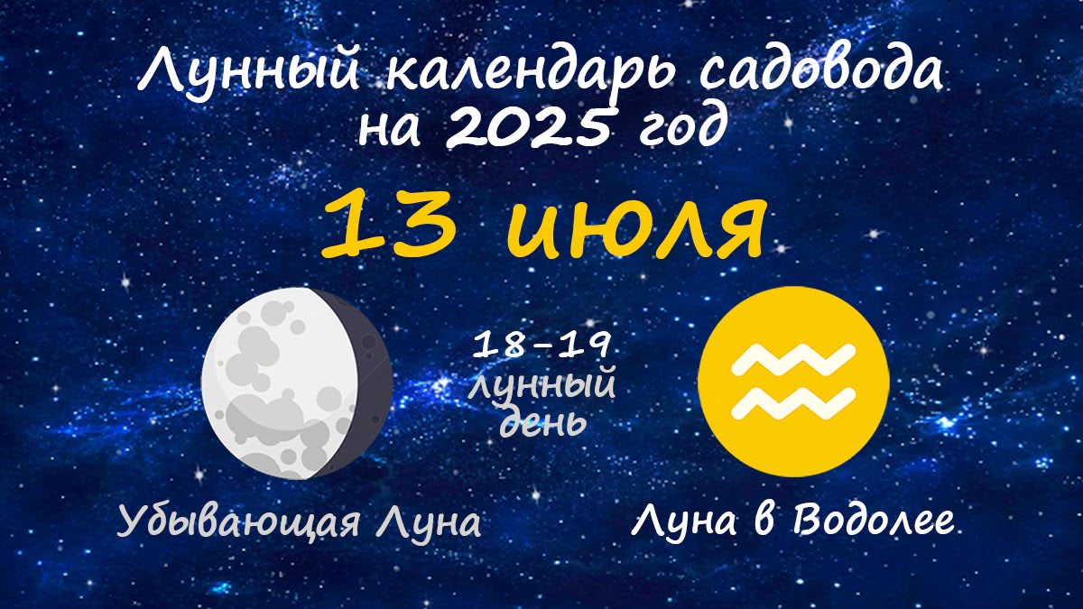 Лунный календарь садовода-огородника на 13 июля 2025 года