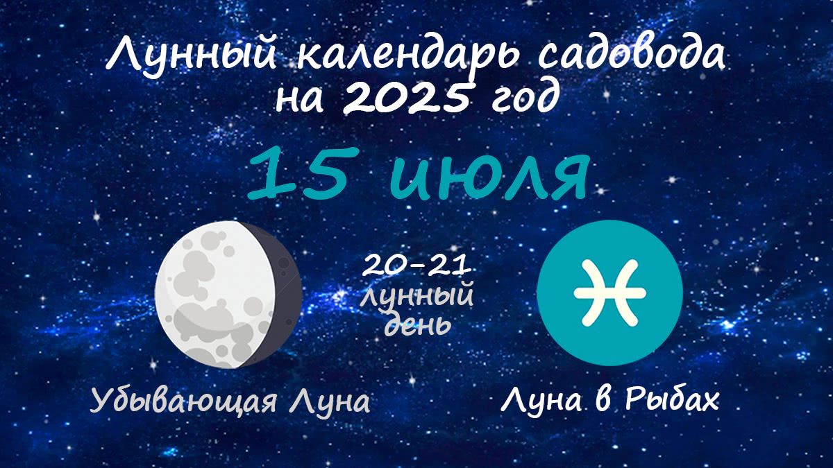 Лунный календарь садовода-огородника на 15 июля 2025 года
