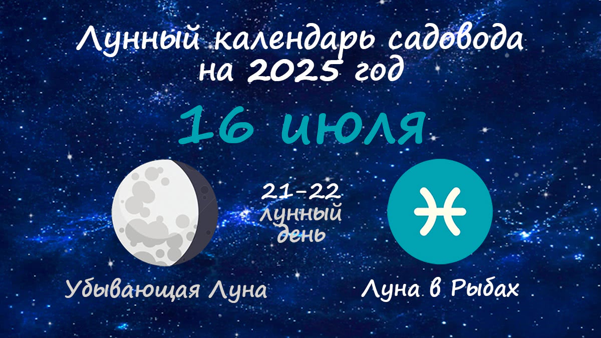 Лунный календарь садовода-огородника на 16 июля 2025 года