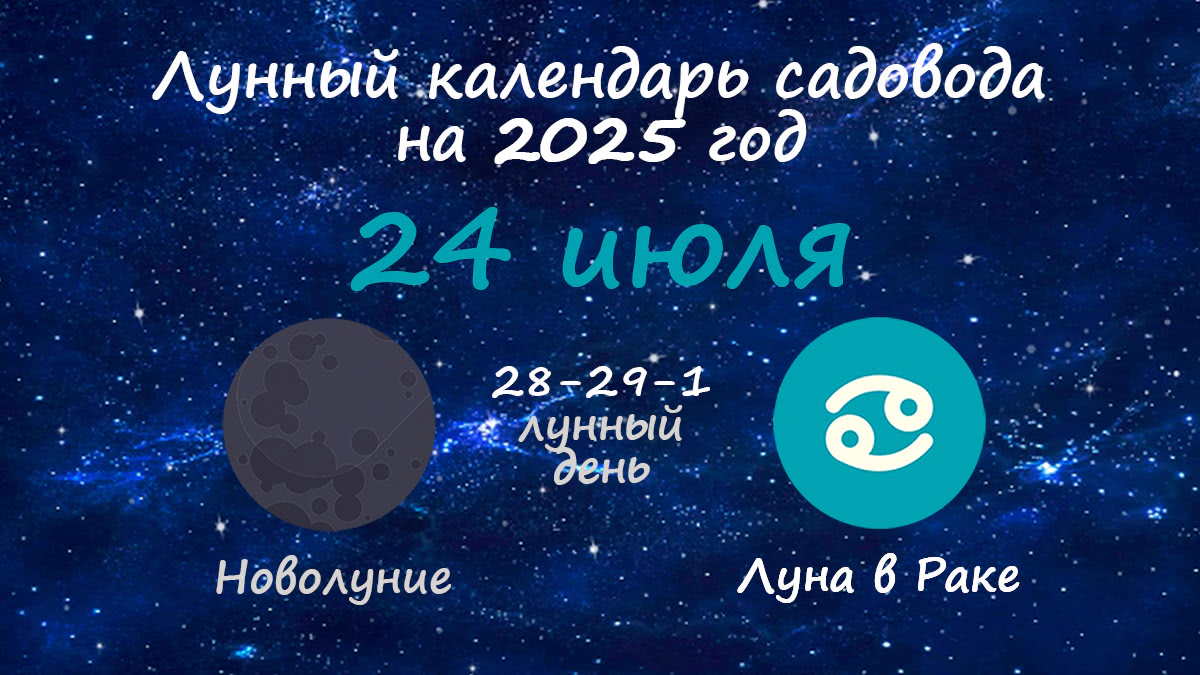 Лунный календарь садовода-огородника на 24 июля 2025 года