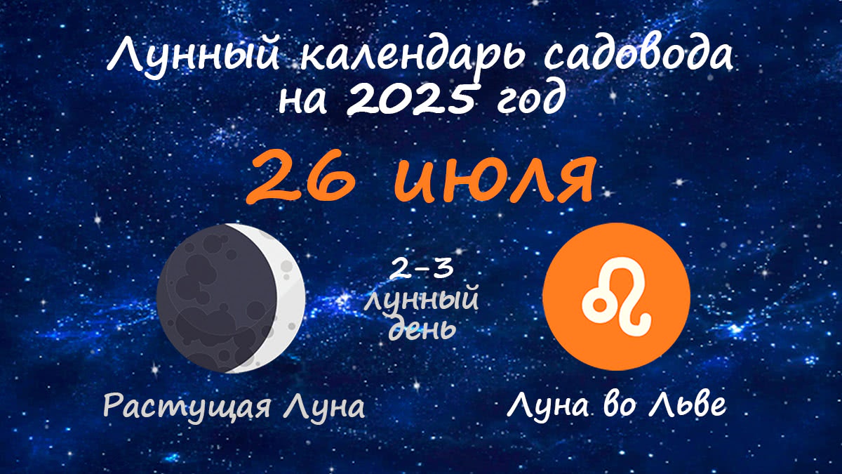 Лунный календарь садовода-огородника на 26 июля 2025 года
