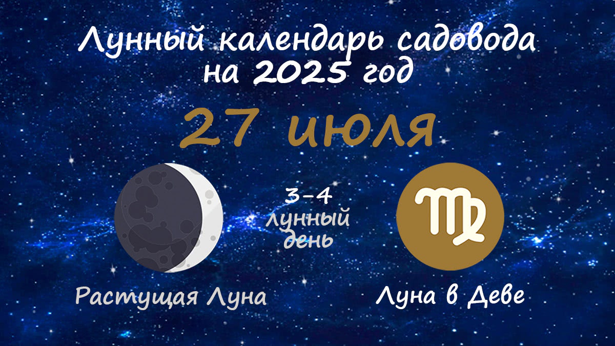 Лунный календарь садовода-огородника на 27 июля 2025 года