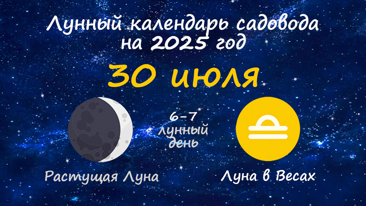 Лунный календарь садовода-огородника на 30 июля 2025 года