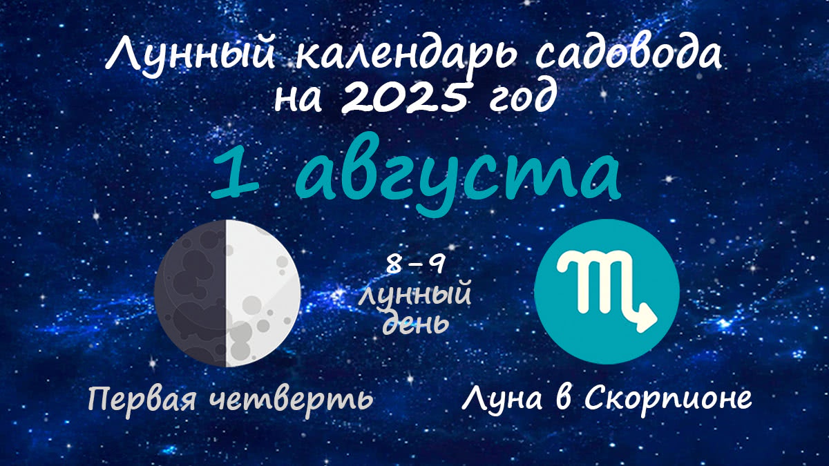 Лунный календарь садовода-огородника на 1 августа 2025 года