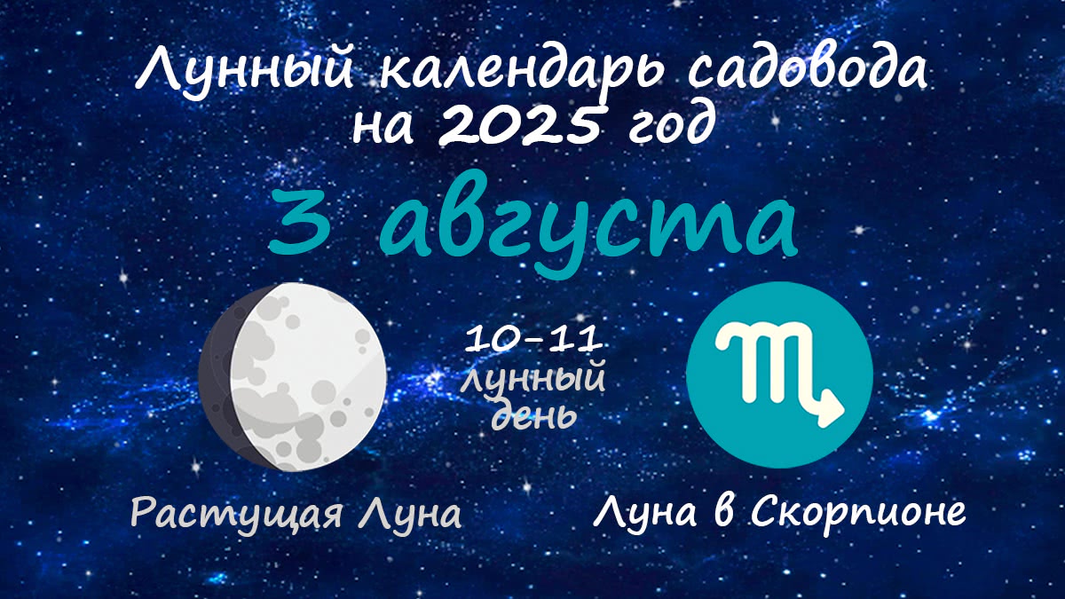 Лунный календарь садовода-огородника на 3 августа 2025 года