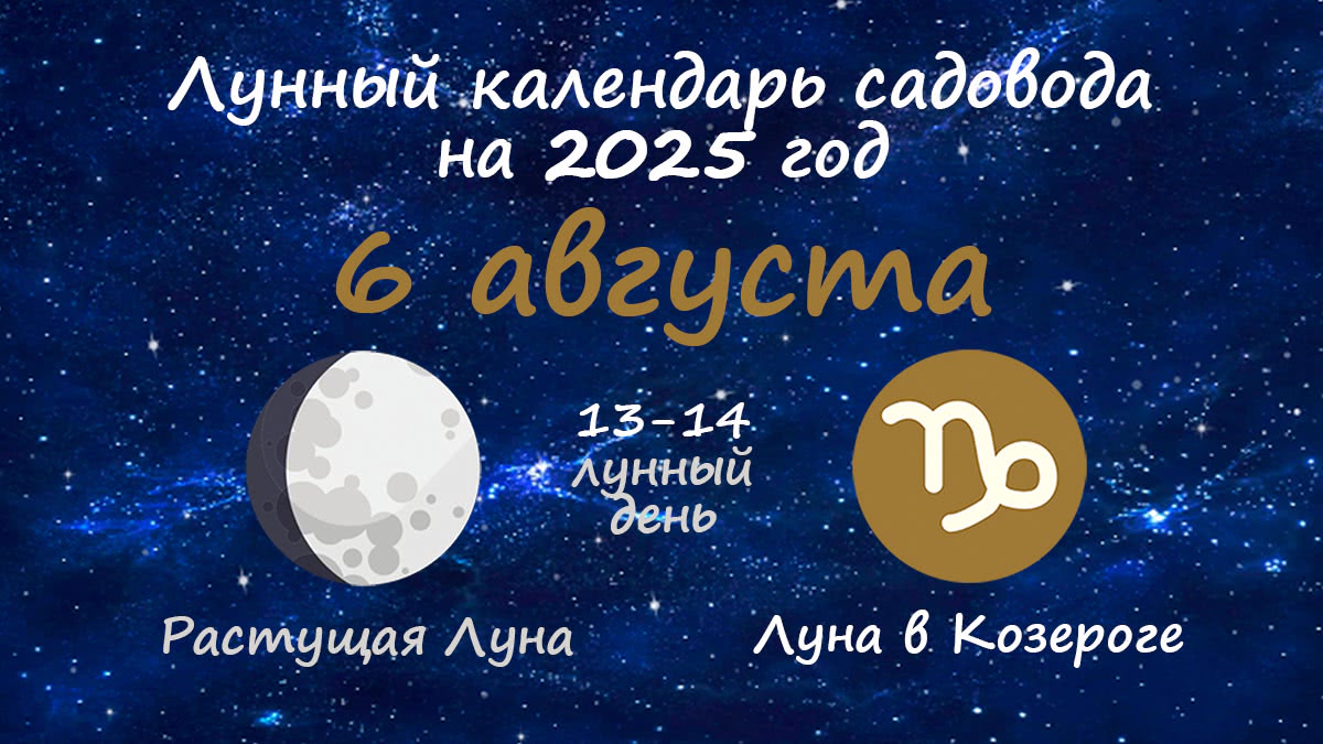 Лунный календарь садовода-огородника на 6 августа 2025 года