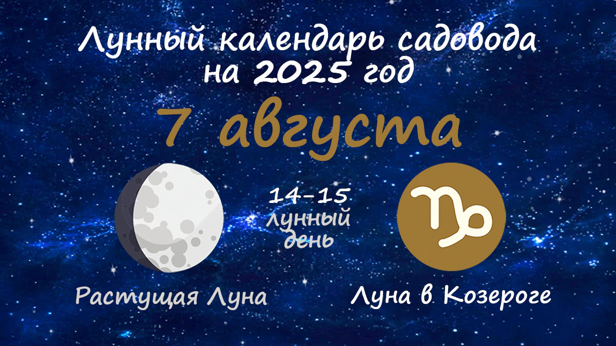Лунный календарь садовода-огородника на 7 августа 2025 года
