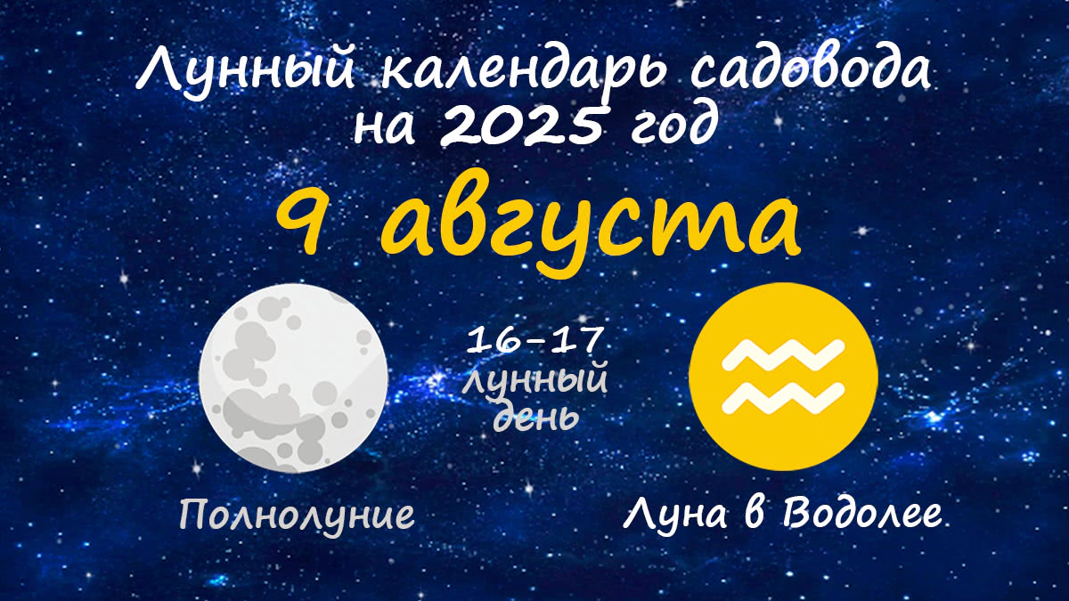 Лунный календарь садовода-огородника на 9 августа 2025 года