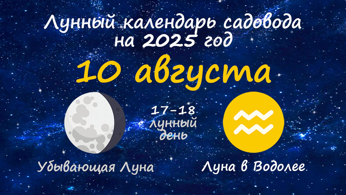 Лунный календарь садовода-огородника на 10 августа 2025 года