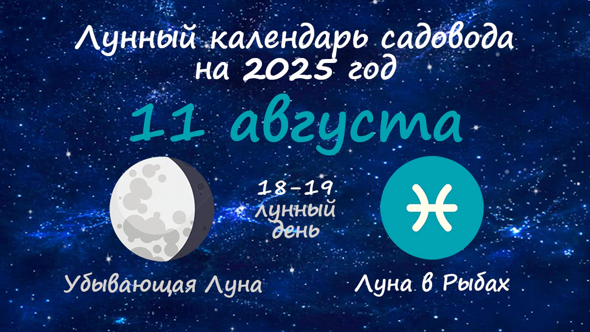 Лунный календарь садовода-огородника на 11 августа 2025 года