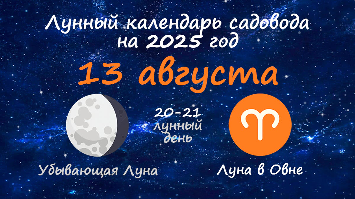 Лунный календарь садовода-огородника на 13 августа 2025 года
