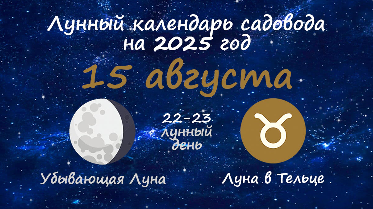 Лунный календарь садовода-огородника на 15 августа 2025 года