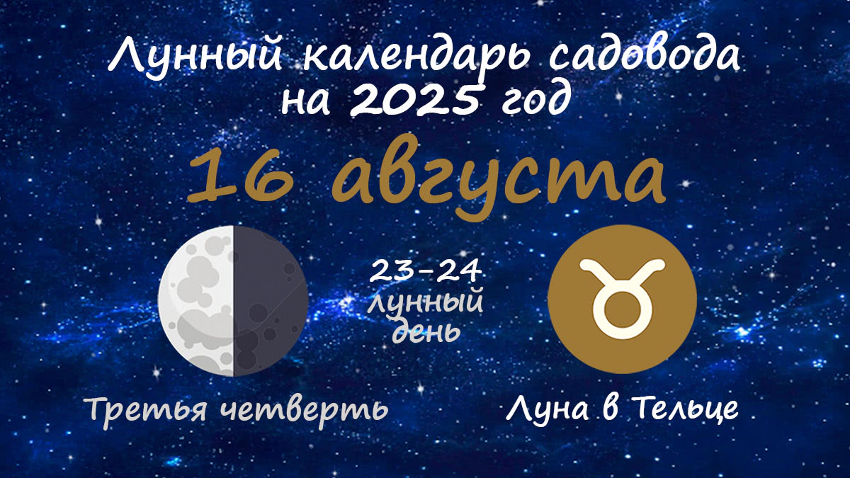 Лунный календарь садовода-огородника на 16 августа 2025 года