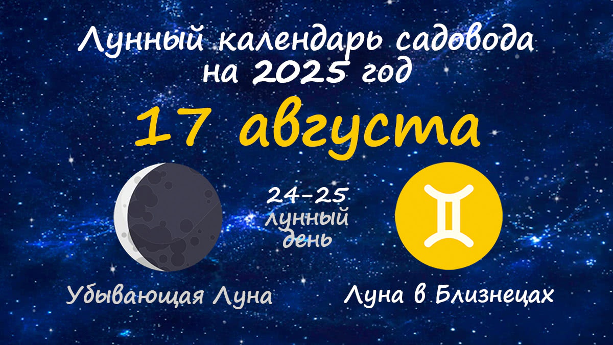 Лунный календарь садовода-огородника на 17 августа 2025 года