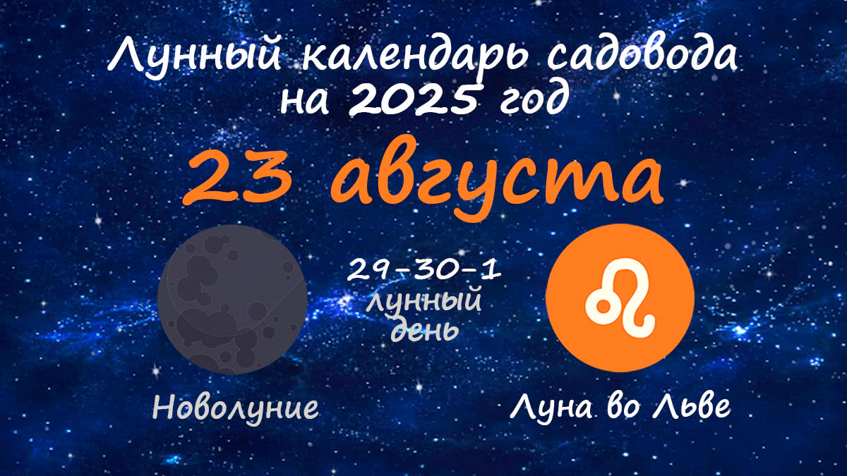 Лунный календарь садовода-огородника на 23 августа 2025 года