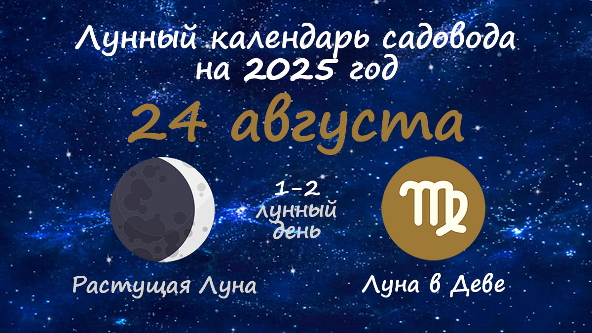 Лунный календарь садовода-огородника на 24 августа 2025 года