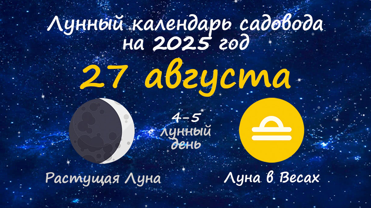 Лунный календарь садовода-огородника на 27 августа 2025 года