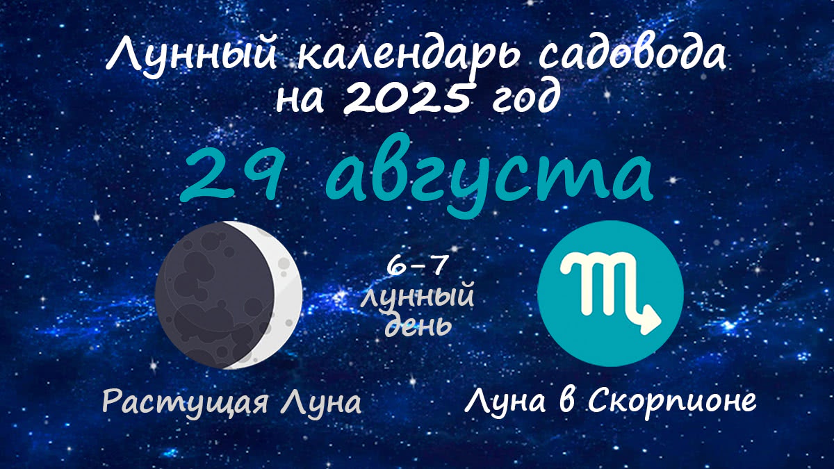 Лунный календарь садовода-огородника на 29 августа 2025 года