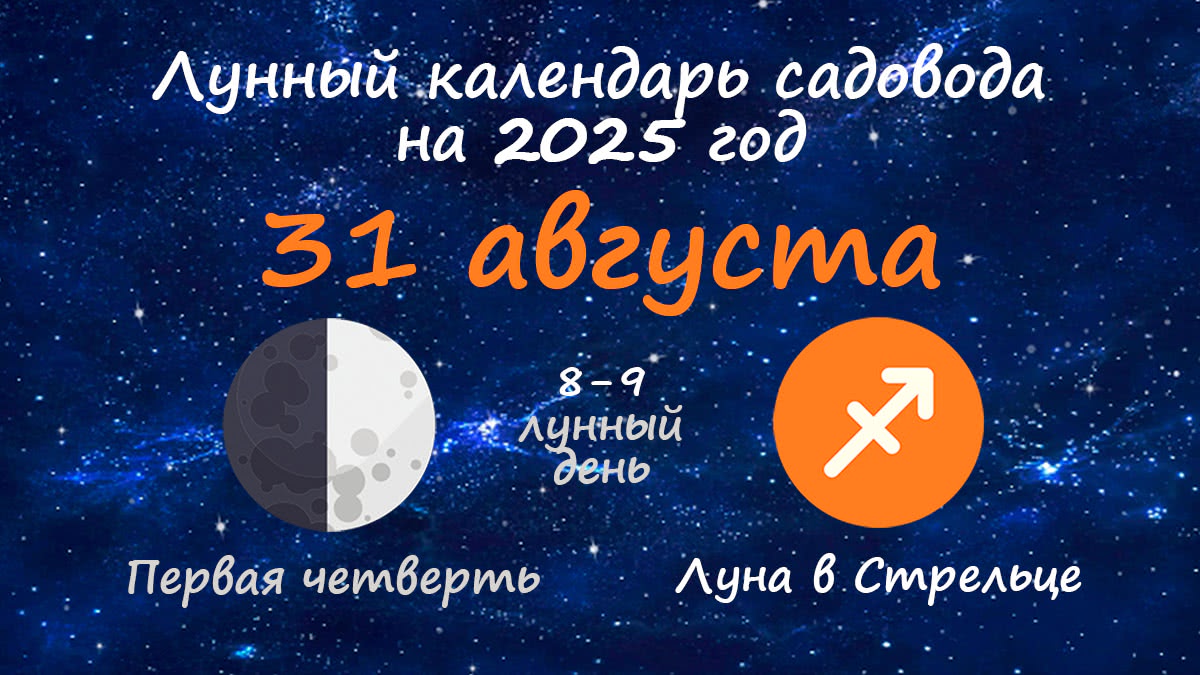 Лунный календарь садовода-огородника на 31 августа 2025 года