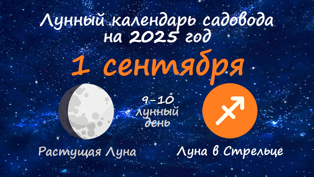 Лунный календарь садовода-огородника на 1 сентября 2025 года