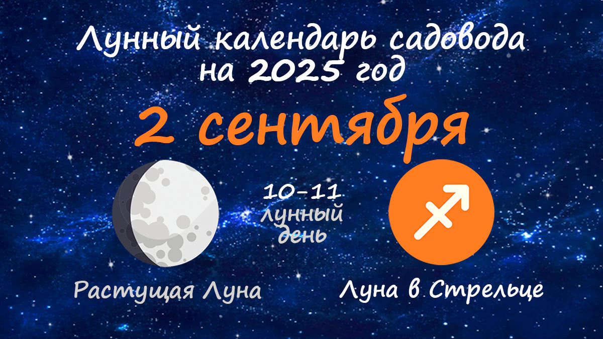 Лунный календарь садовода-огородника на 2 сентября 2025 года