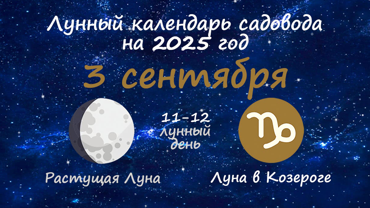 Лунный календарь садовода-огородника на 3 сентября 2025 года