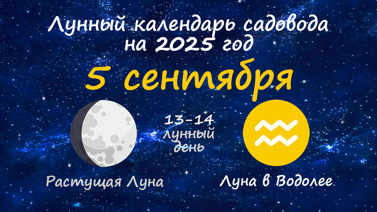 Лунный календарь садовода-огородника на 5 сентября 2025 года