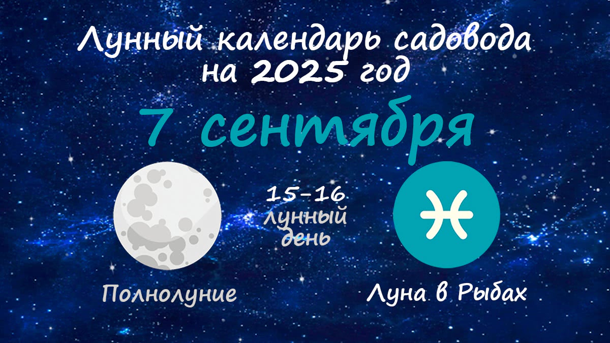 Лунный календарь садовода-огородника на 7 сентября 2025 года