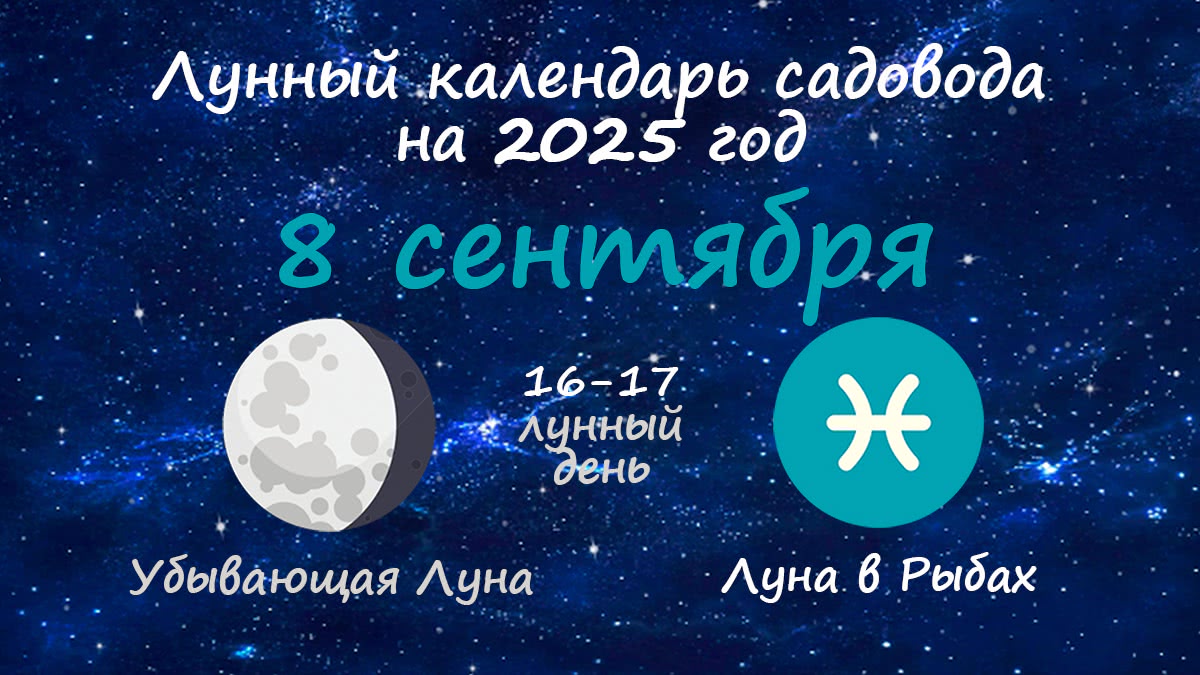 Лунный календарь садовода-огородника на 8 сентября 2025 года