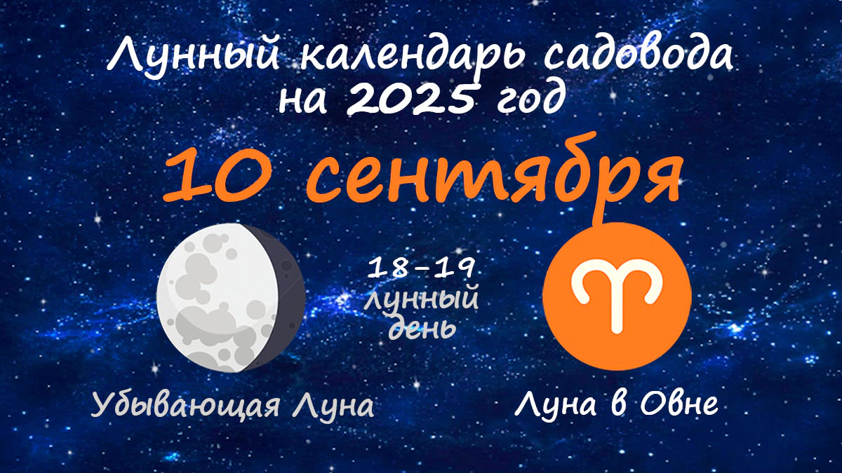 Лунный календарь садовода-огородника на 10 сентября 2025 года