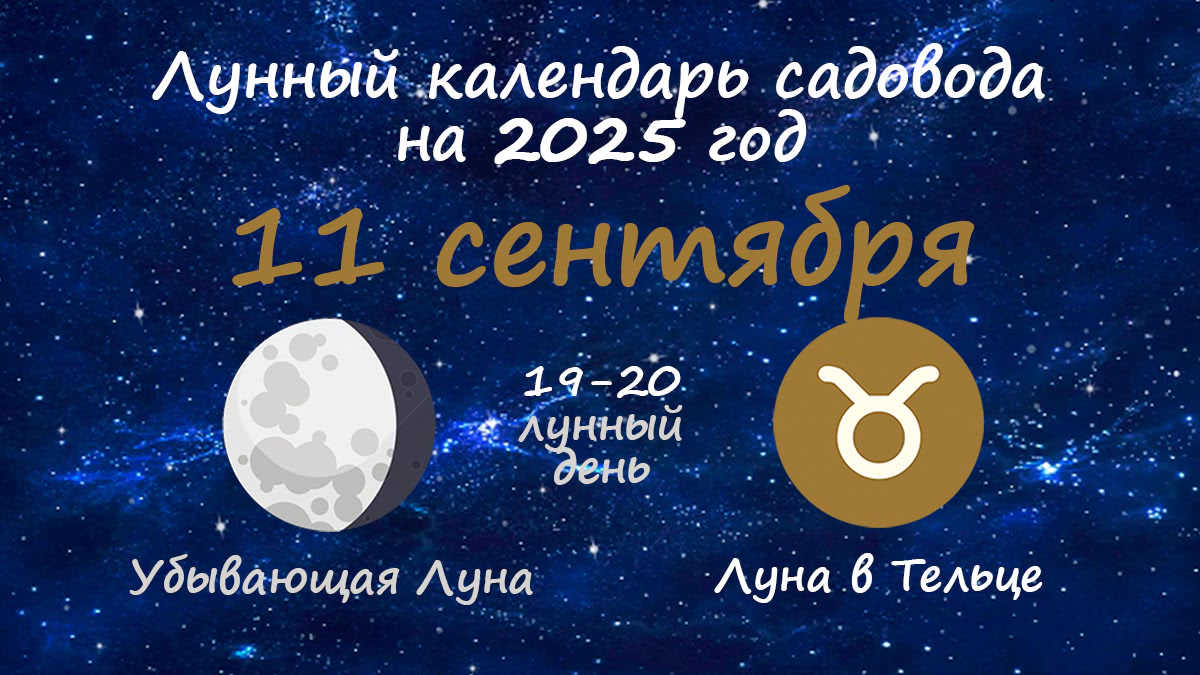 Лунный календарь садовода-огородника на 11 сентября 2025 года