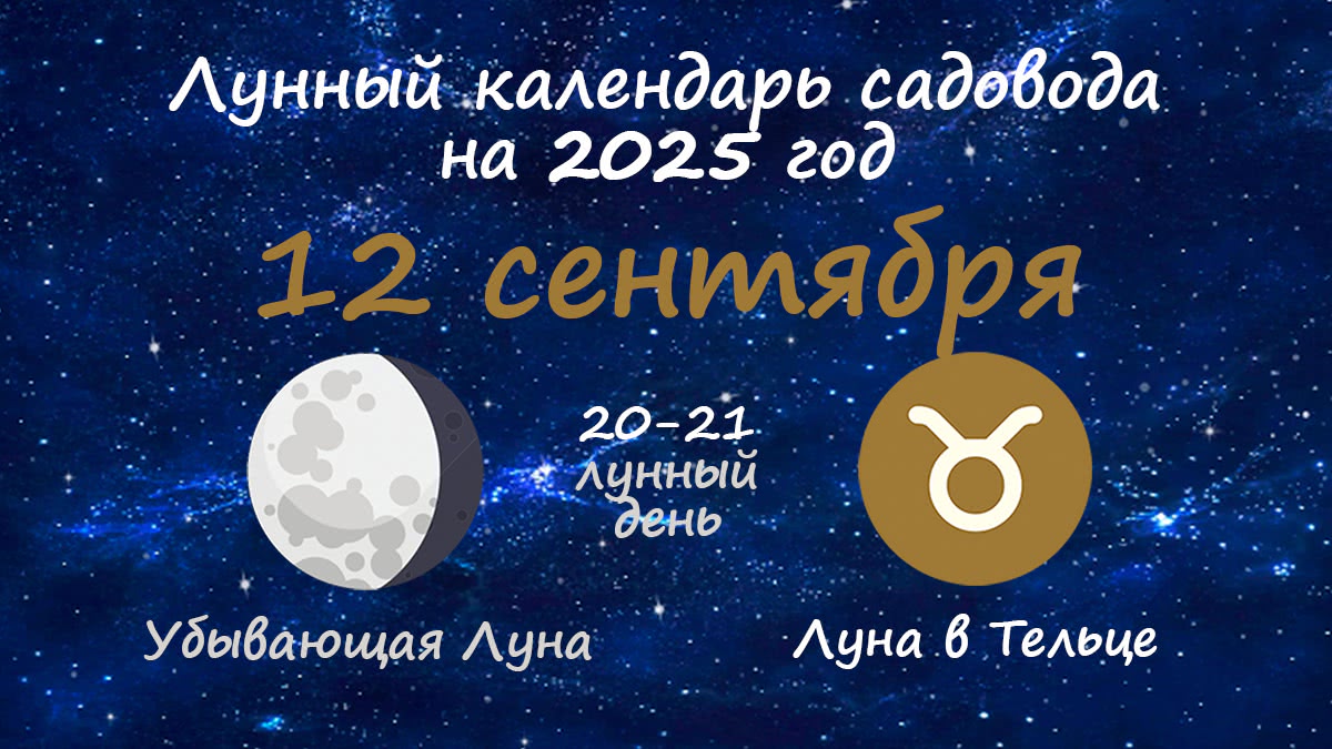 Лунный календарь садовода-огородника на 12 сентября 2025 года