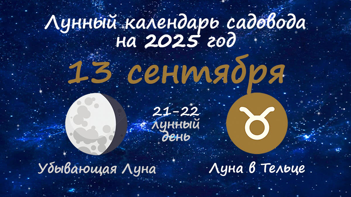 Лунный календарь садовода-огородника на 13 сентября 2025 года