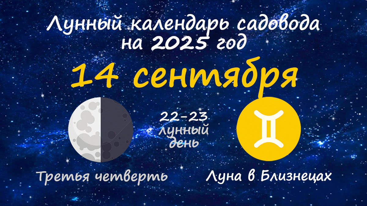 Лунный календарь садовода-огородника на 14 сентября 2025 года