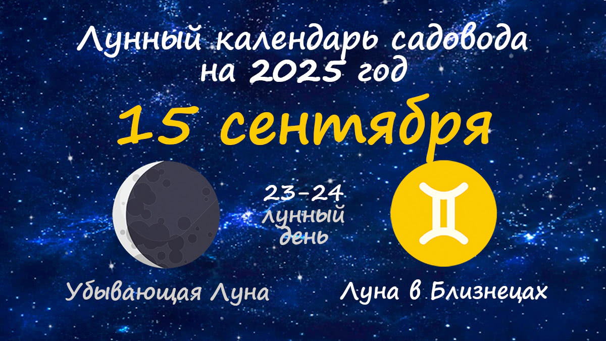 Лунный календарь садовода-огородника на 15 сентября 2025 года