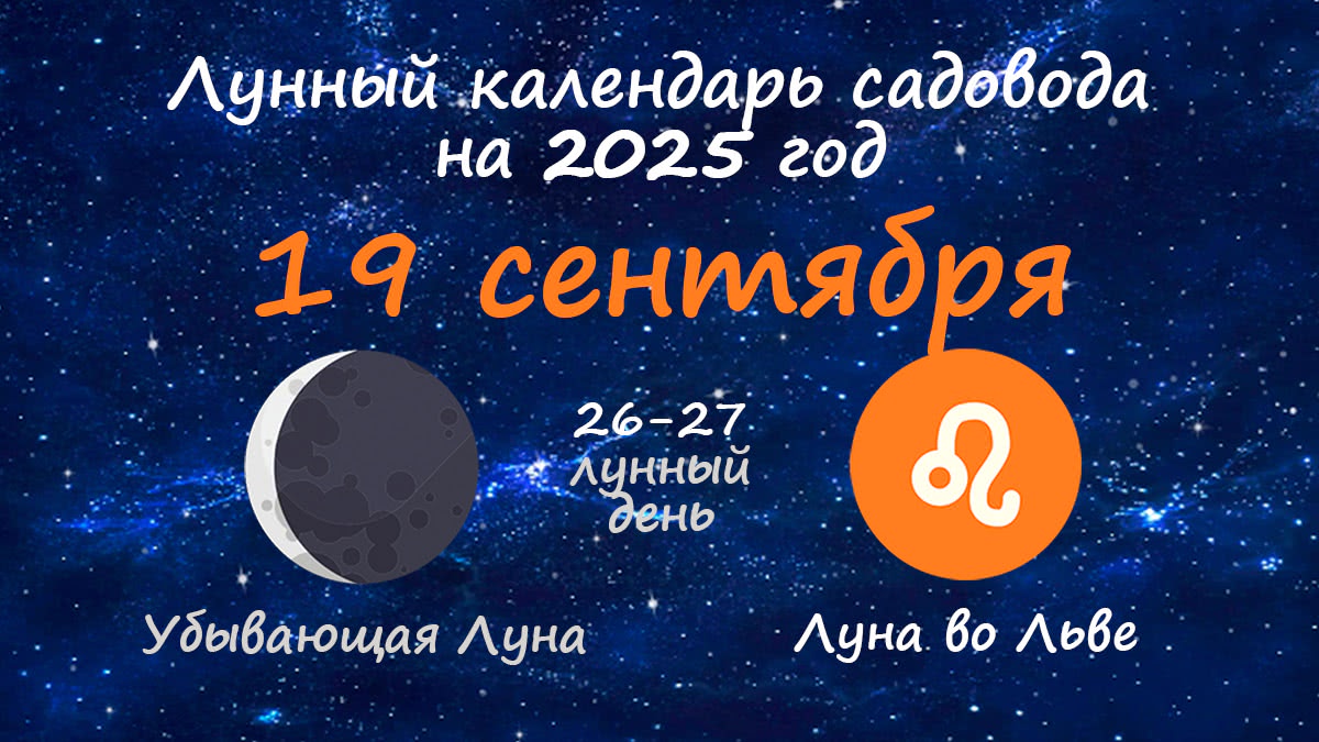 Лунный календарь садовода-огородника на 19 сентября 2025 года