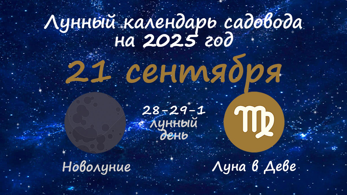 Лунный календарь садовода-огородника на 21 сентября 2025 года