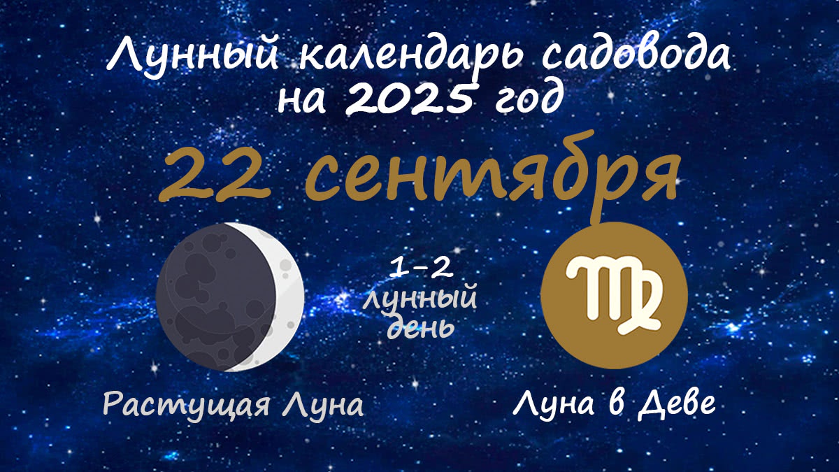 Лунный календарь садовода-огородника на 22 сентября 2025 года