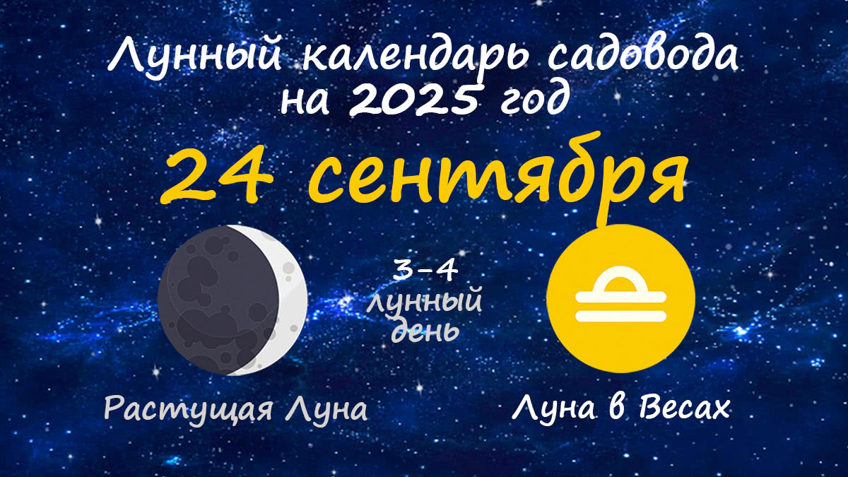 Лунный календарь садовода-огородника на 24 сентября 2025 года