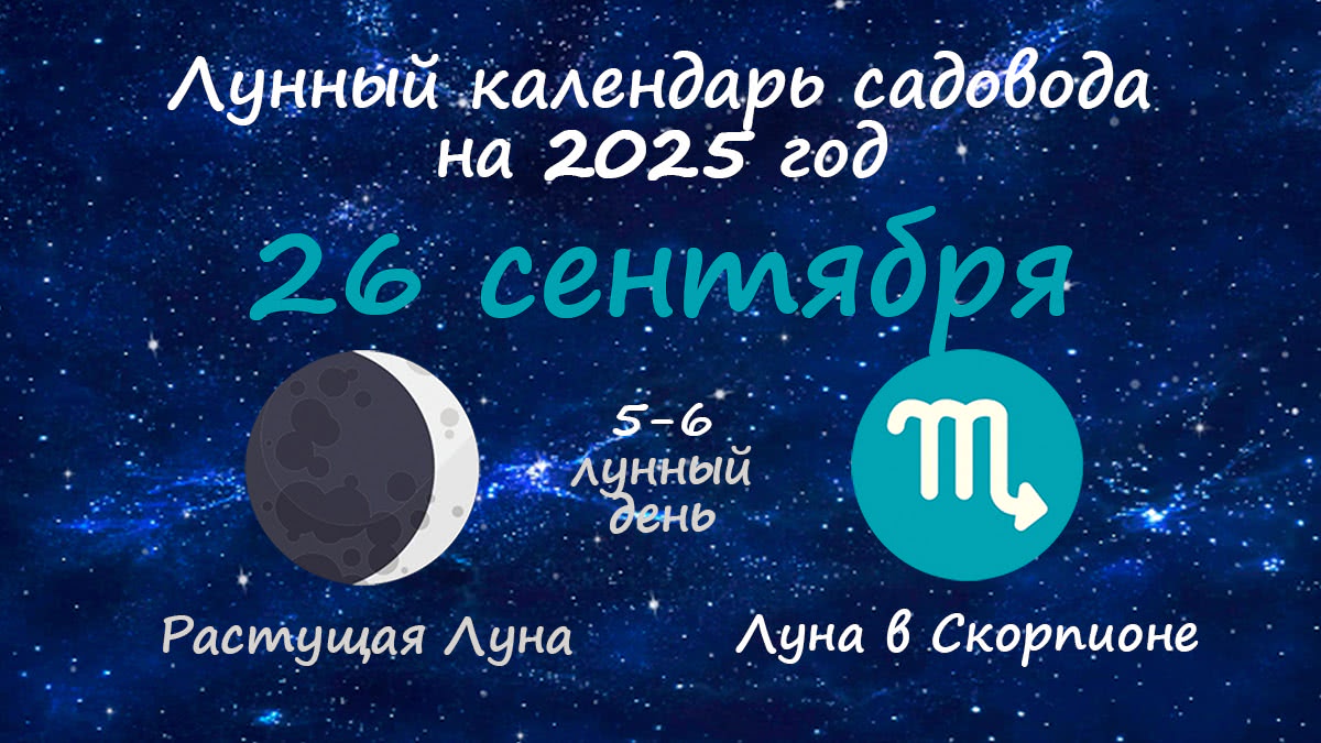 Лунный календарь садовода-огородника на 26 сентября 2025 года