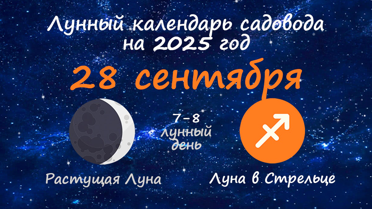 Лунный календарь садовода-огородника на 28 сентября 2025 года