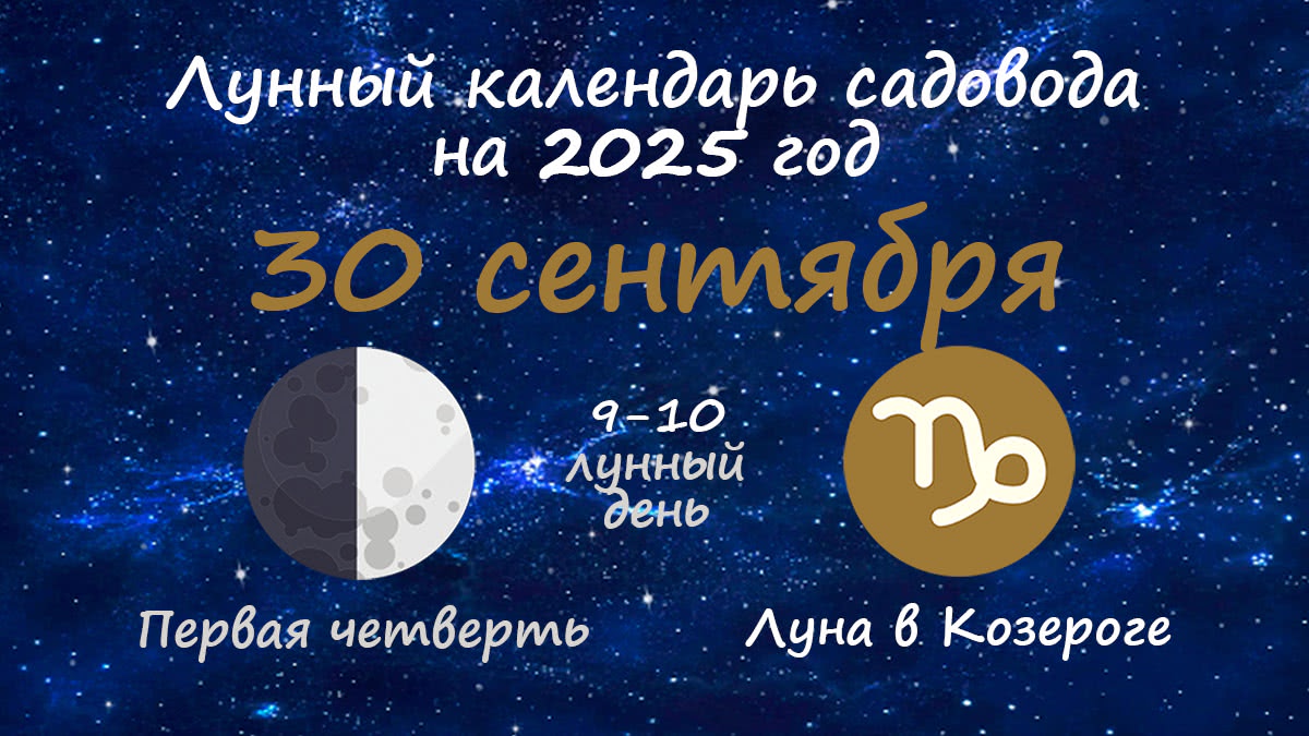 Лунный календарь садовода-огородника на 30 сентября 2025 года