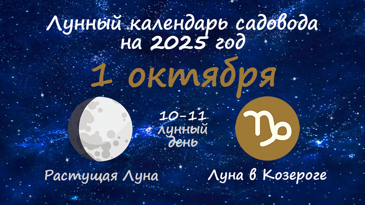 Лунный календарь садовода-огородника на 1 октября 2025 года