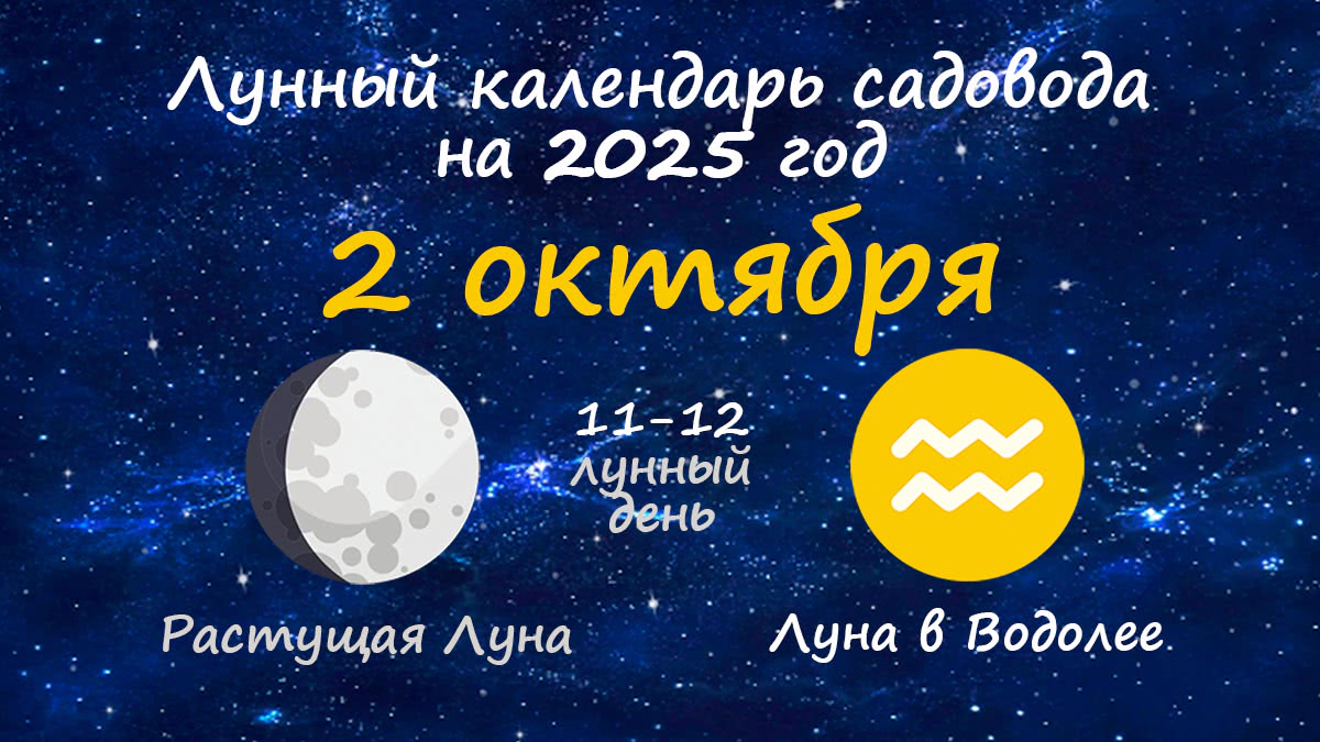 Лунный календарь садовода-огородника на 2 октября 2025 года