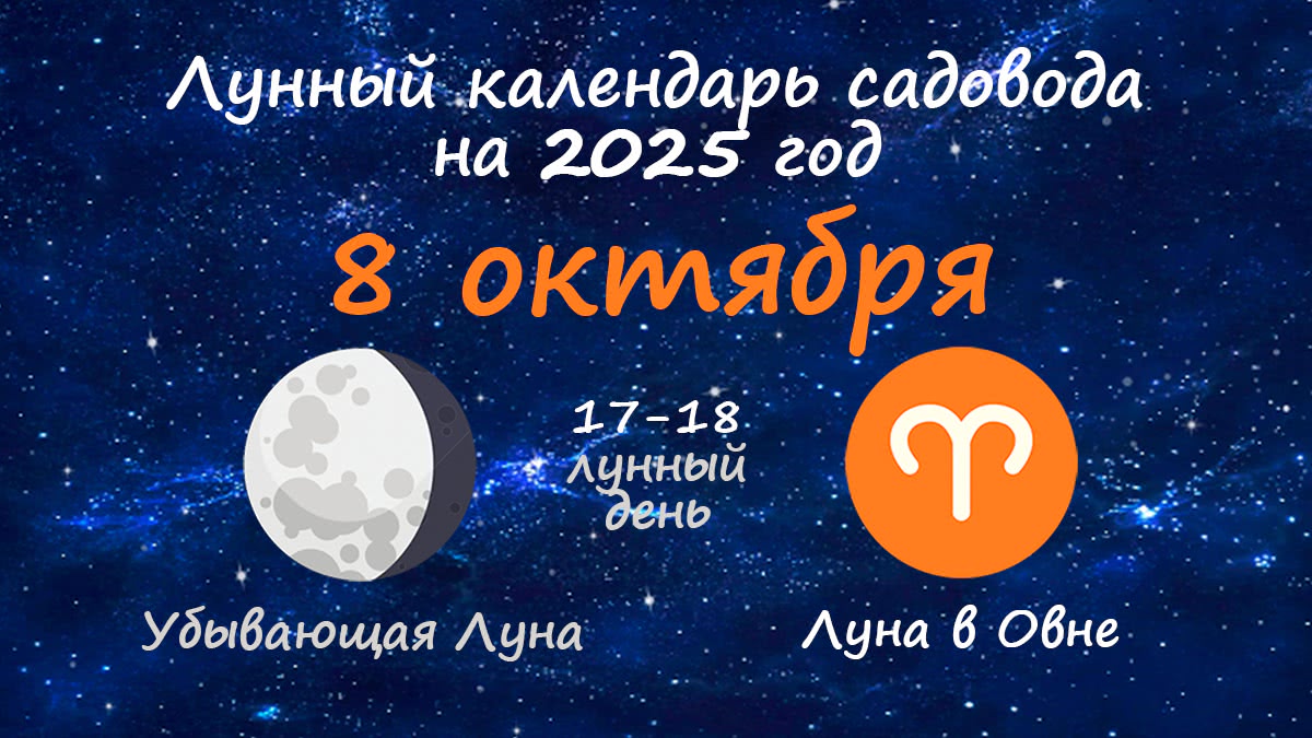 Лунный календарь садовода-огородника на 8 октября 2025 года
