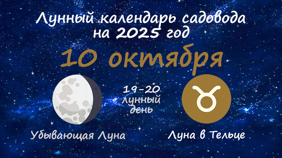 Лунный календарь садовода-огородника на 10 октября 2025 года