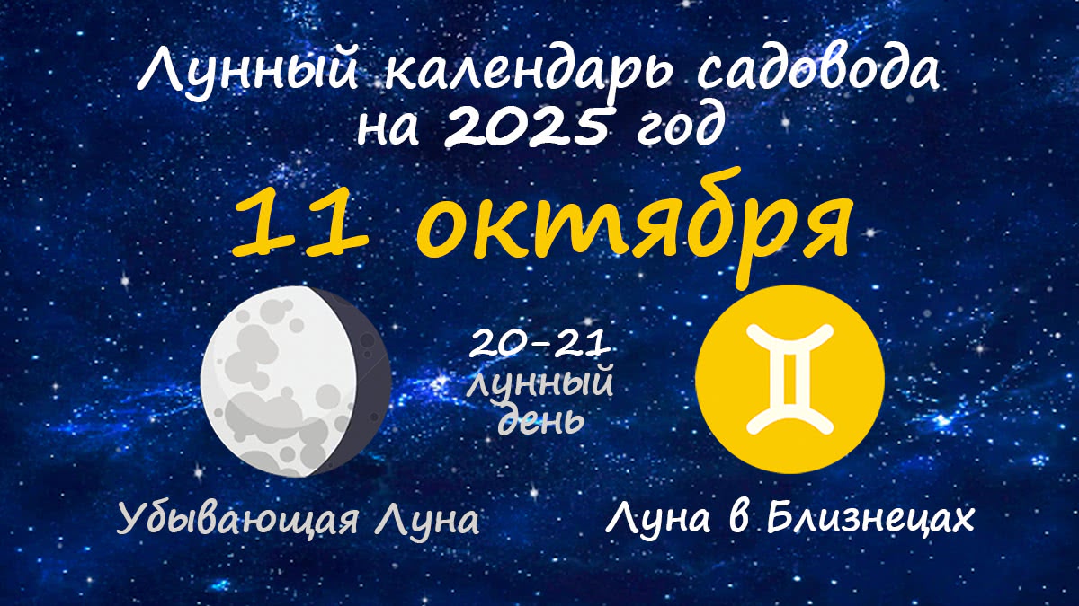 Лунный календарь садовода-огородника на 11 октября 2025 года