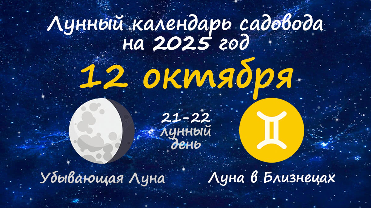 Лунный календарь садовода-огородника на 12 октября 2025 года