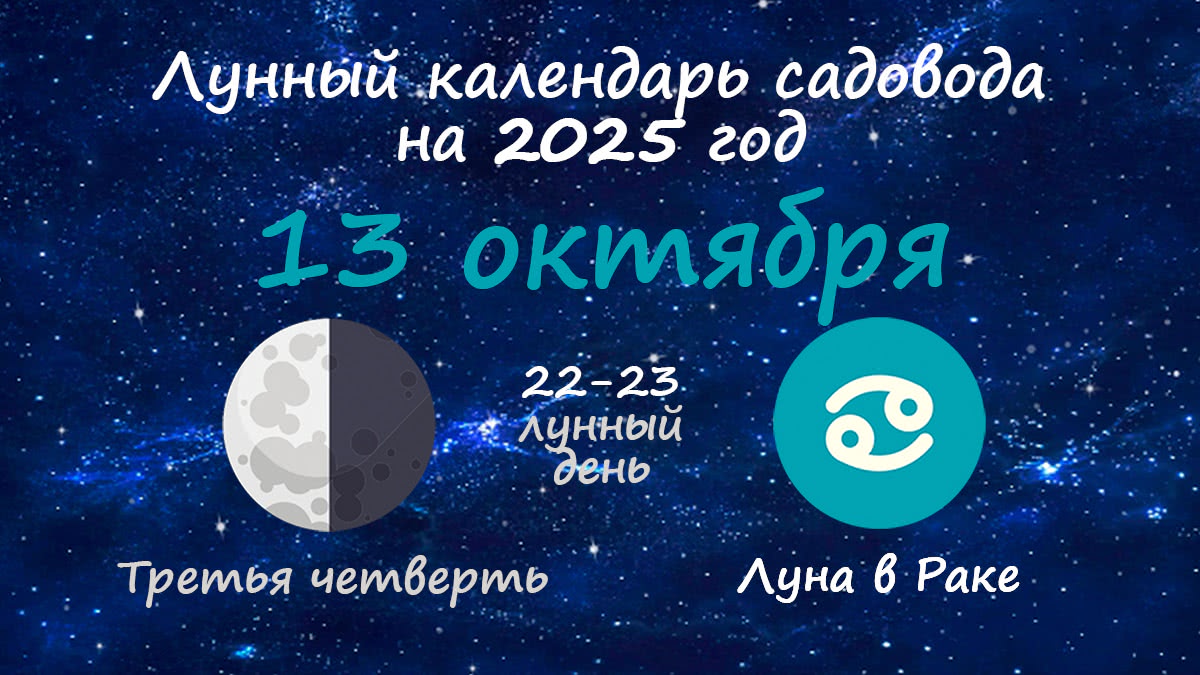Лунный календарь садовода-огородника на 13 октября 2025 года